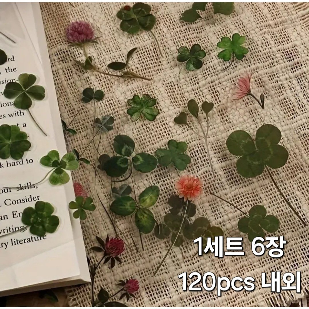 빈티지 플로랄 투명 방수 스티커 네잎클로버 데이지 라벤더 다꾸 스티커 휴대폰 태블릿등 꾸미기 스티커, 행운의 클로버, 1세트 상세 이미지 1