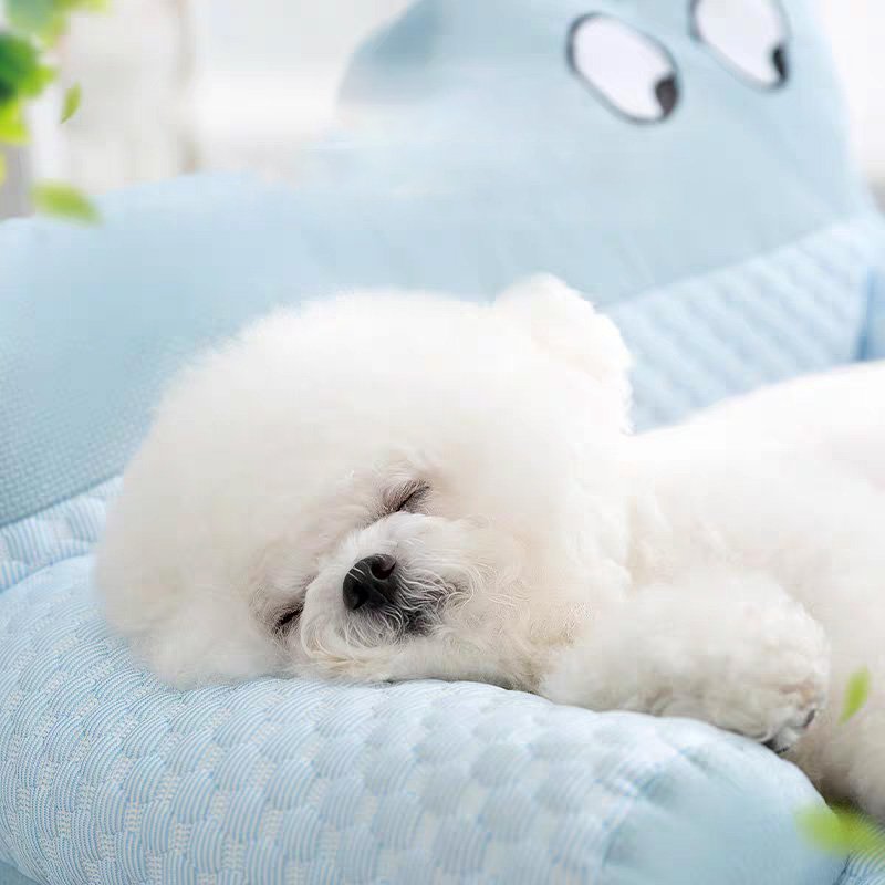HA.M 사계절 고양이 애견 등받이 매트 멍멍이 아이스 쿨매트 강아지 방석, 옐로우, 1개할인 상세 이미지 2